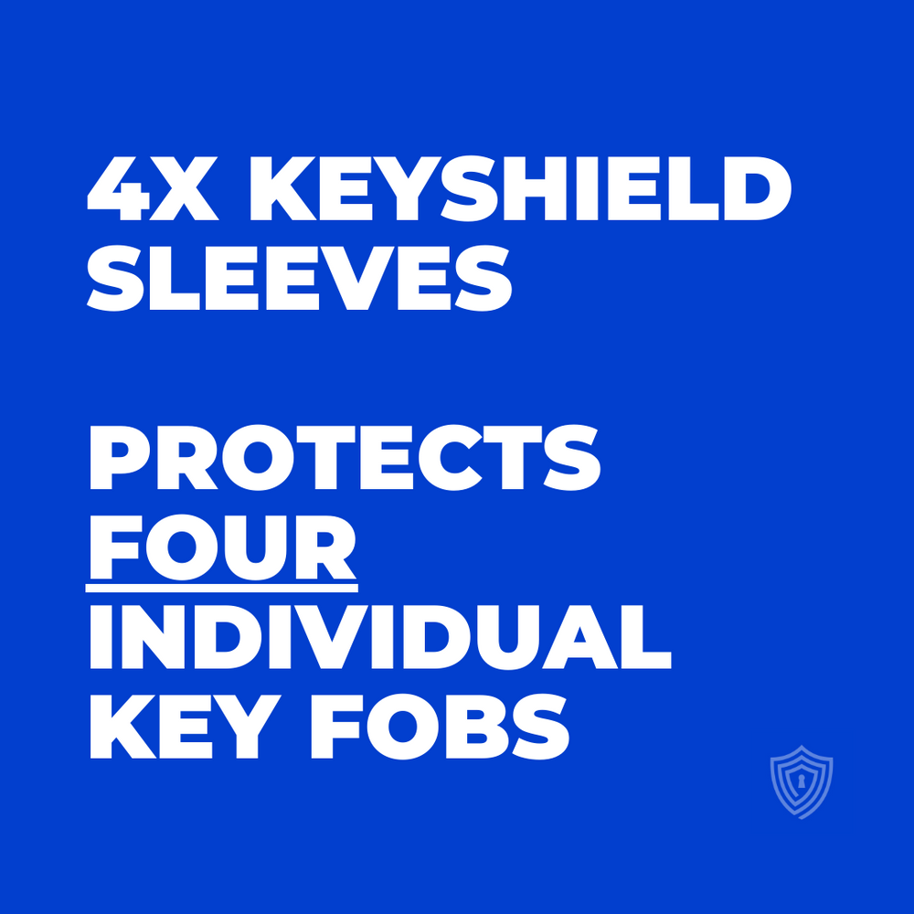 
                  
                    Four Key Protection (4x Sleeves)
                  
                